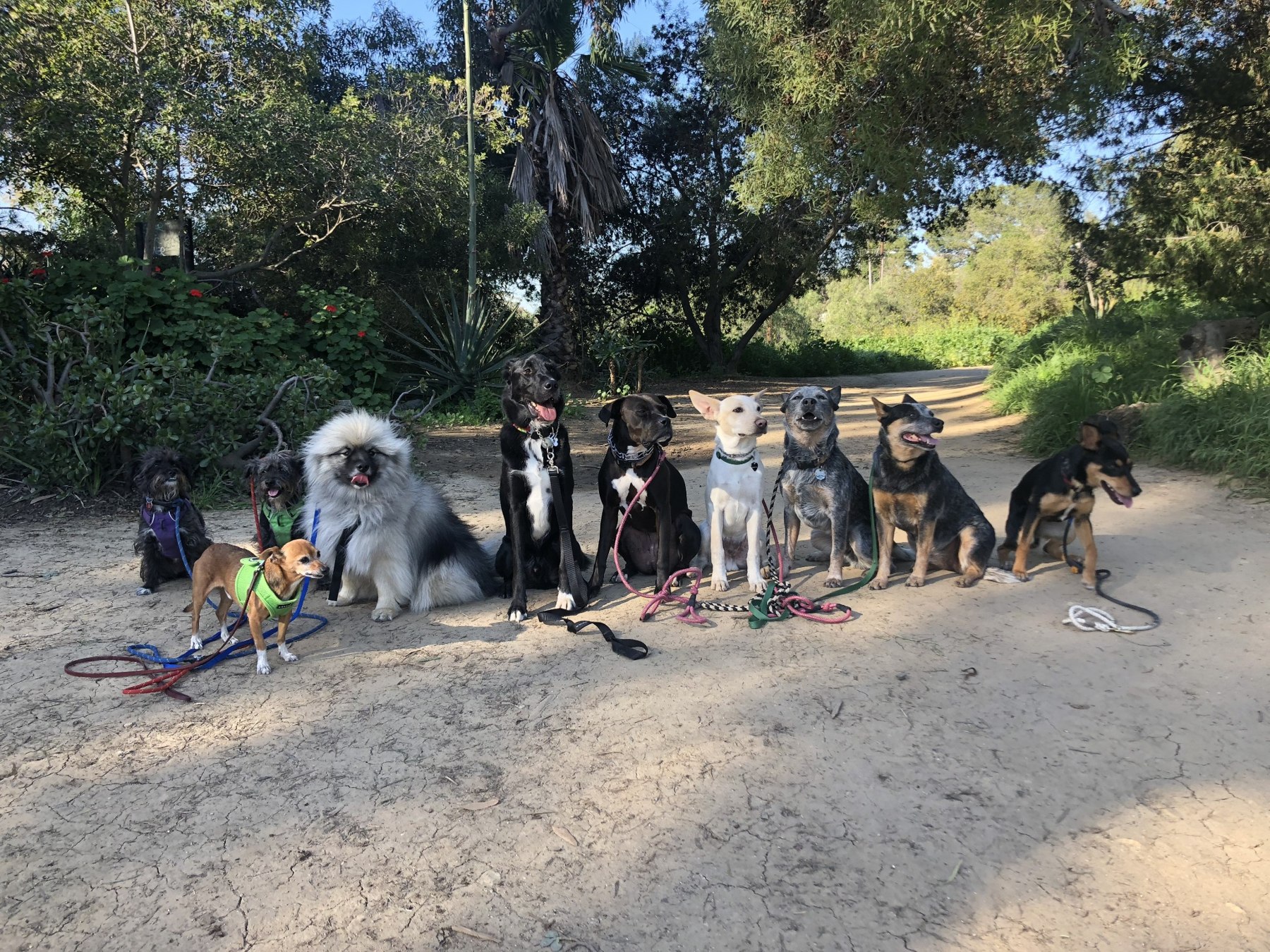 Original pack hike photograph