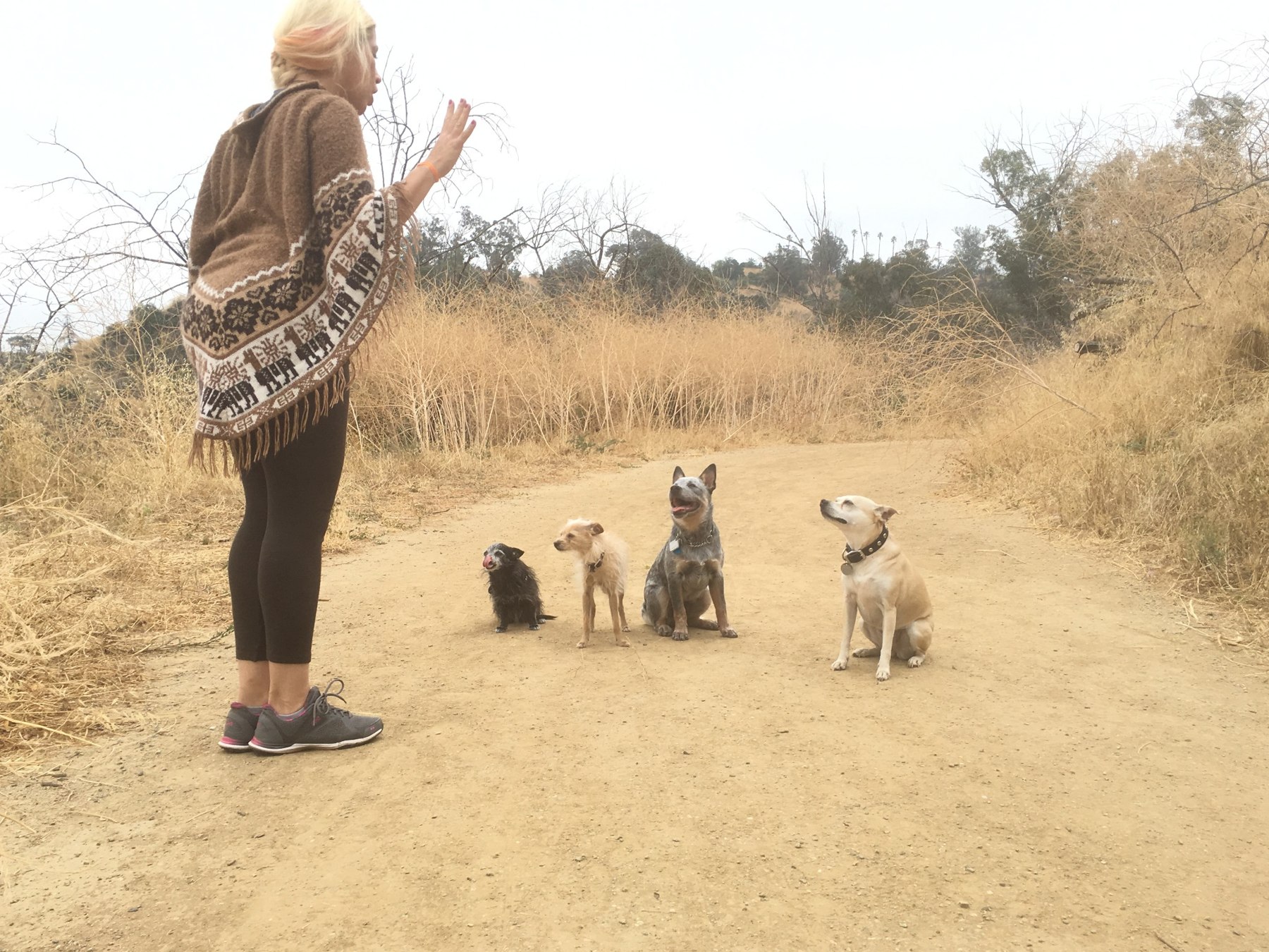 Original pack hike photograph