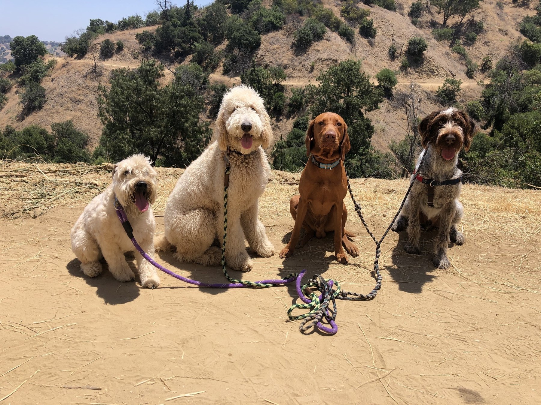 Original pack hike photograph